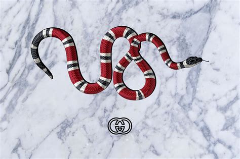 what snake is the gucci snake|gucci snake meaning.